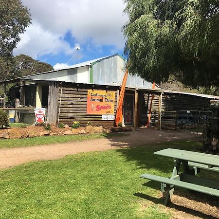 Sunflowers Animal Farm & Farmstay Margaret River Екстер'єр фото