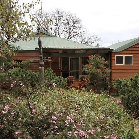 Sunflowers Animal Farm & Farmstay Margaret River Екстер'єр фото