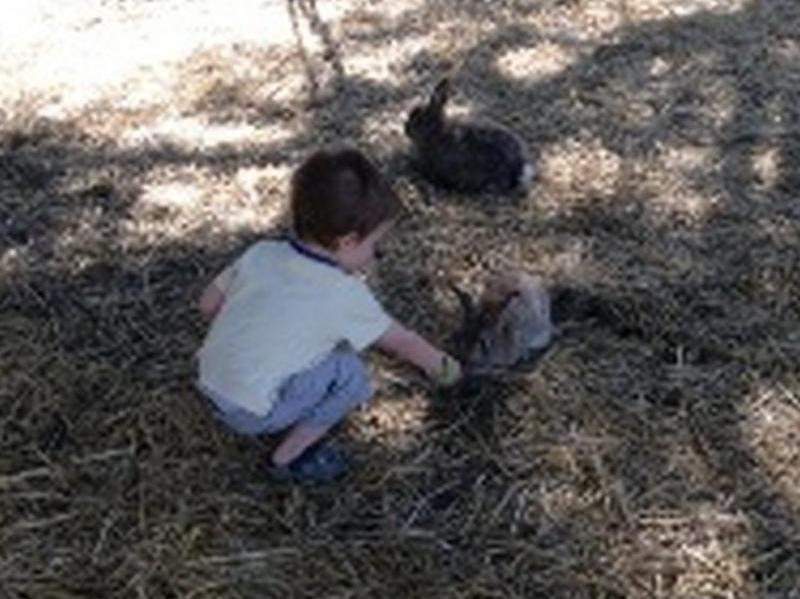 Sunflowers Animal Farm & Farmstay Margaret River Екстер'єр фото