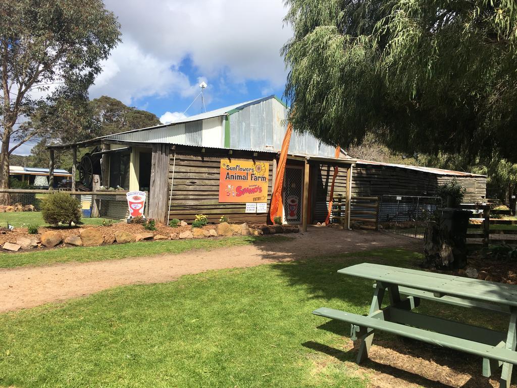 Sunflowers Animal Farm & Farmstay Margaret River Екстер'єр фото